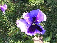 01-11 Nagy Balogh János